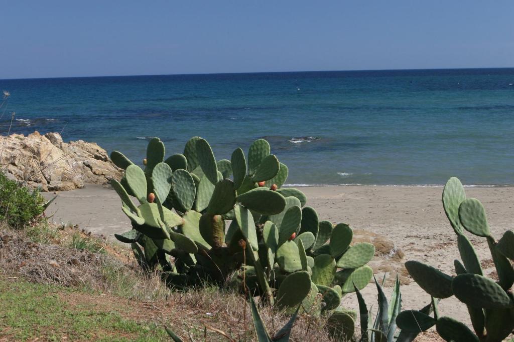 Residence Il Borgo Di Porto Corallo Villaputzu Zewnętrze zdjęcie